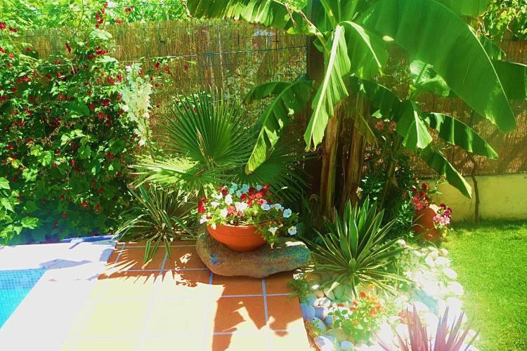 Casa Da Pedrosa Bed and Breakfast Ponte de Lima Eksteriør billede